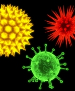 Influenza stagionale, identificati gli schemi di diffusione dei virus